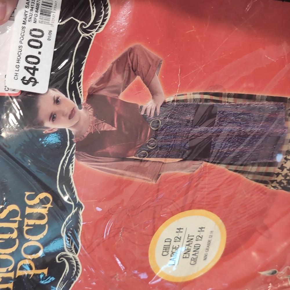 Disney Hocus Pocus Costume with Red and Brown Accents
